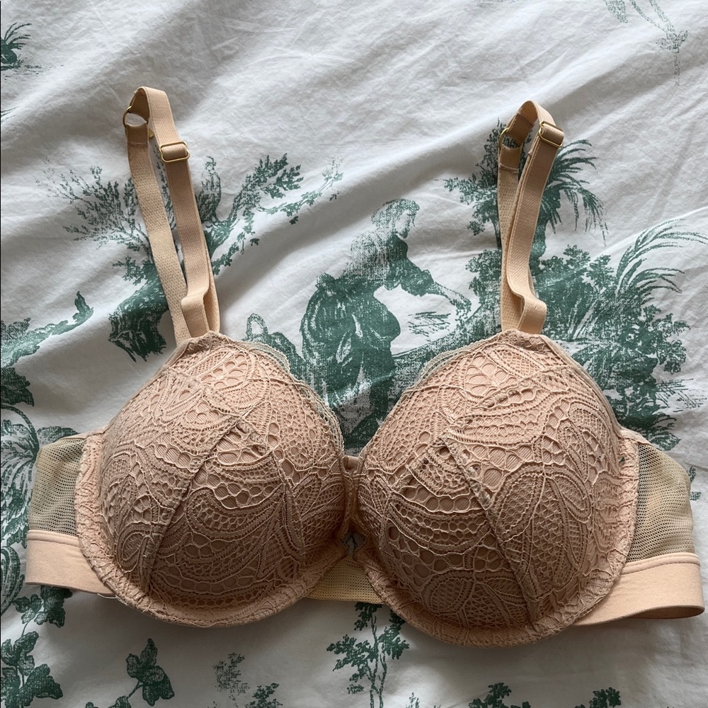 Lively - Elegant Lace Women's Bra in Tan
